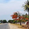 Nhớ người xưa